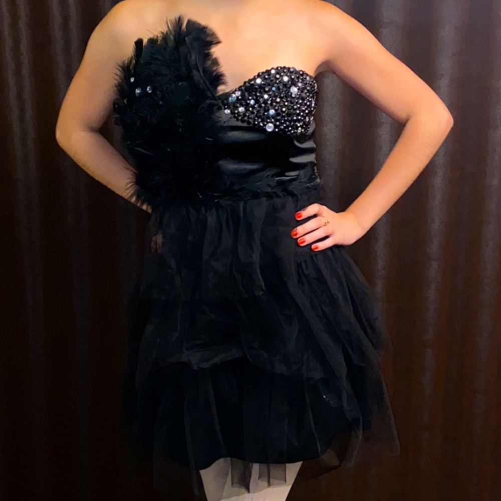 Black Swan Dress Halloween Costume